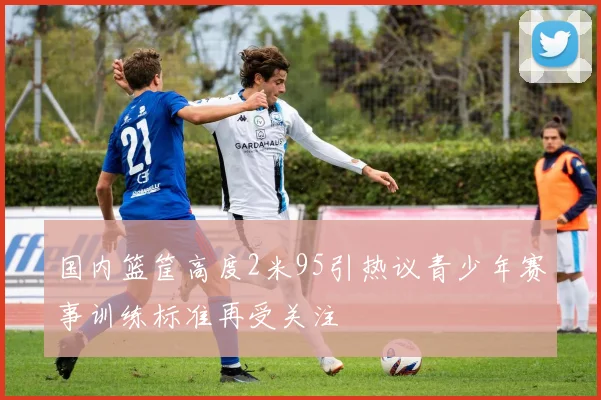 国内篮筐高度2米95引热议青少年赛事训练标准再受关注