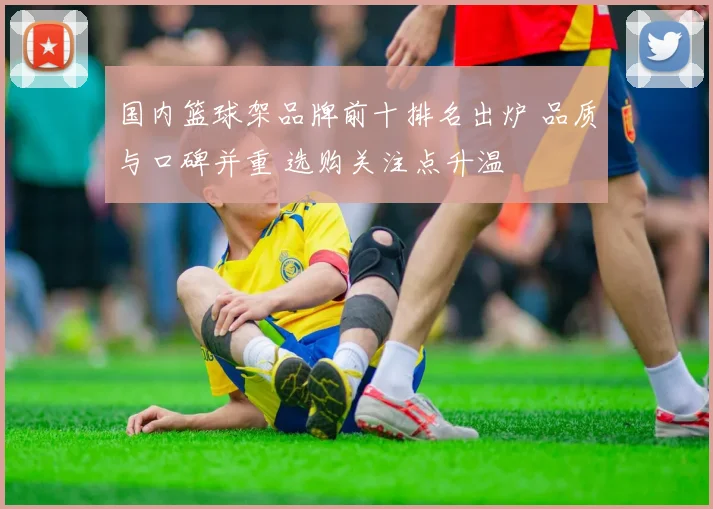 国内篮球架品牌前十排名出炉 品质与口碑并重 选购关注点升温