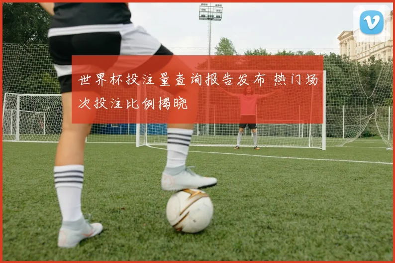 世界杯投注量查询报告发布 热门场次投注比例揭晓