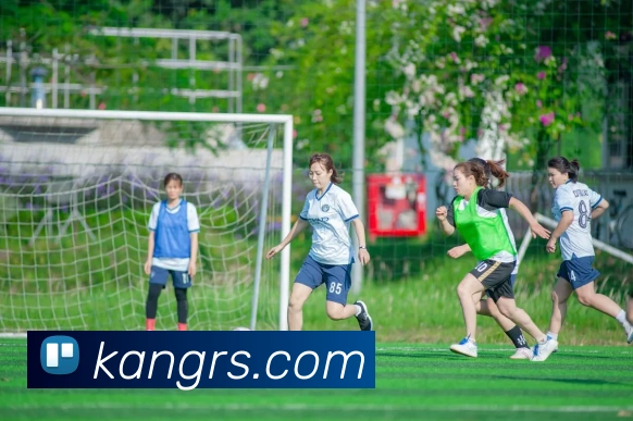 世界杯官方入口平台生态图